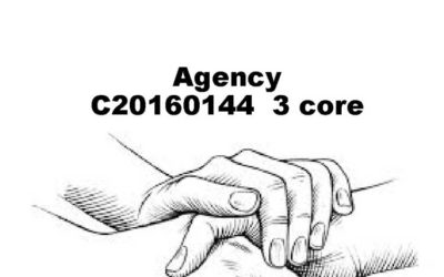 Agency 101: