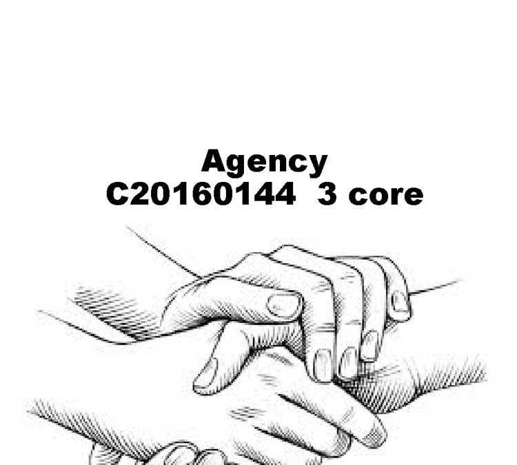 Agency 101: