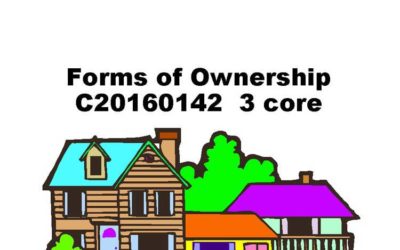 Forms of Ownership: