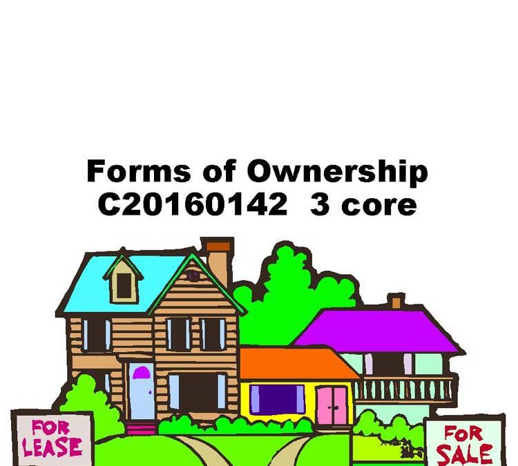 Forms of Ownership: