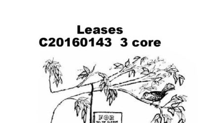 Leases and Rentals 101: