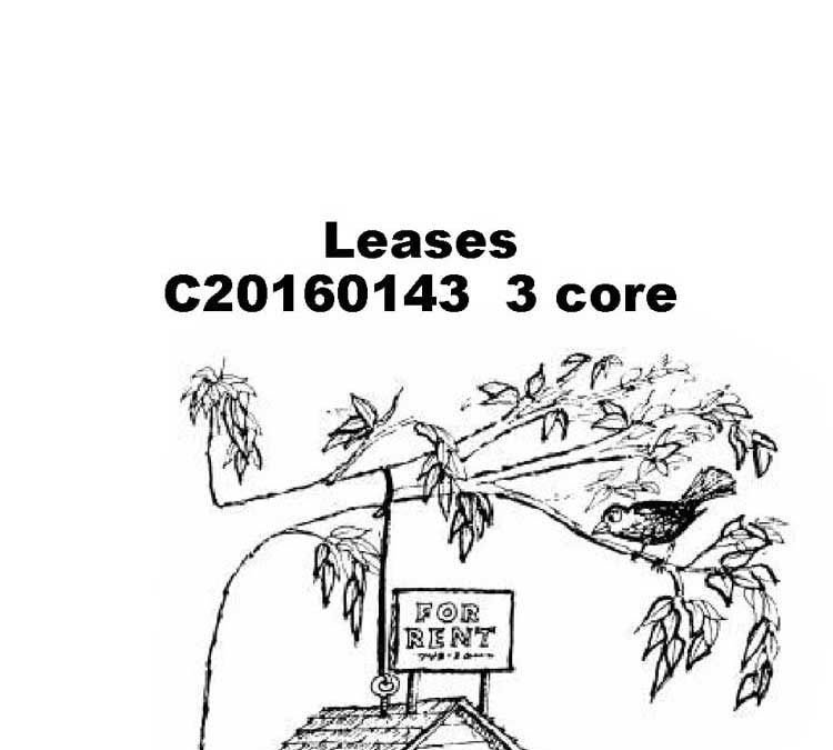 Leases and Rentals 101: