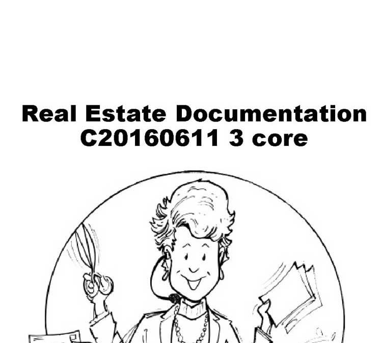 Real Estate Documentation 101: